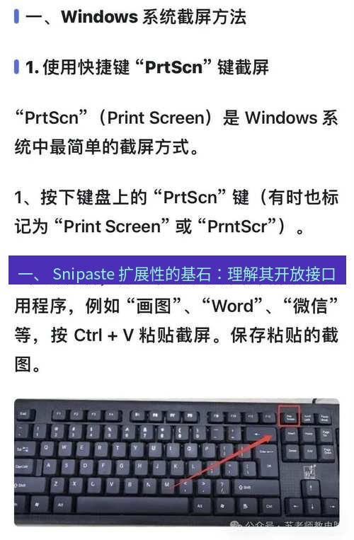 截图工具 一、 Snipaste 扩展性的基石：理解其开放接口