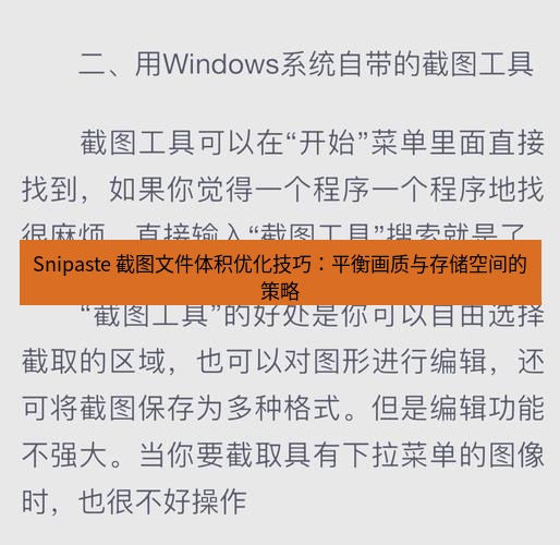 截图工具 Snipaste 截图文件体积优化技巧：平衡画质与存储空间的策略