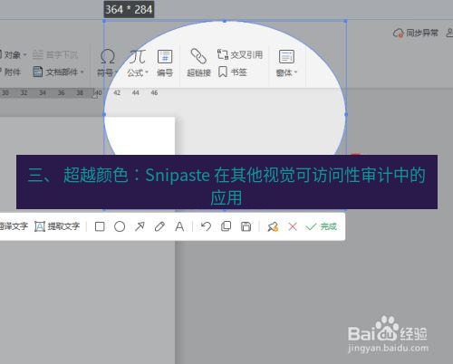 截图工具 三、 超越颜色：Snipaste 在其他视觉可访问性审计中的应用