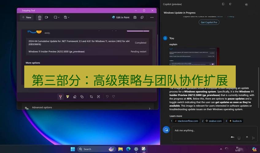截图工具 第三部分：高级策略与团队协作扩展