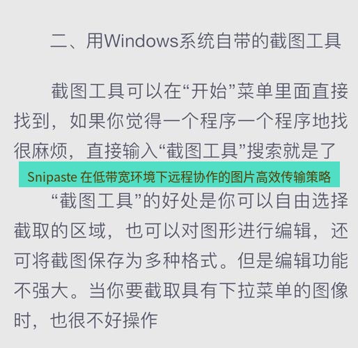 截图工具 Snipaste 在低带宽环境下远程协作的图片高效传输策略